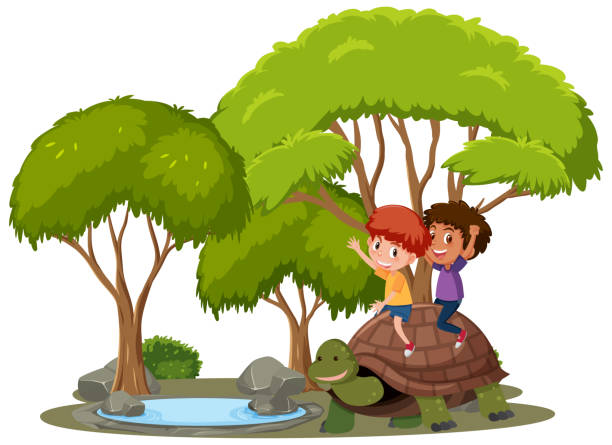 Boy riding turtle isolate Boy riding turtle isolate illustration wood turtle stock illustrations