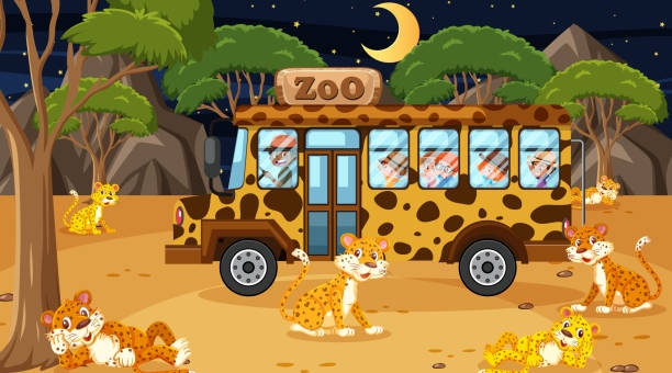 215 Safari Bus Illustrations & Clip Art - iStock | Safari park, Zoo bus,  School bus
