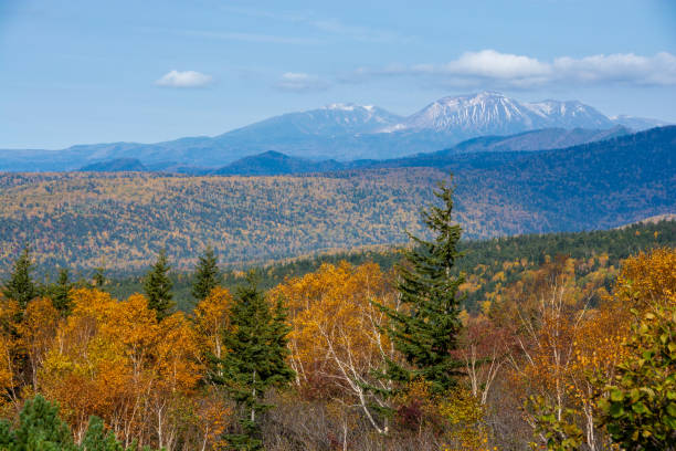 istock Autumn yellow leafy forest and snowcapped mountain peaks 1420401827