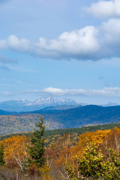 istock Autumn yellow leafy forest and snowcapped mountain peaks 1420401939