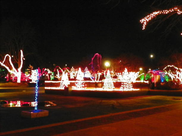 istock Out of focus Christmas Trees Outside 1420404022