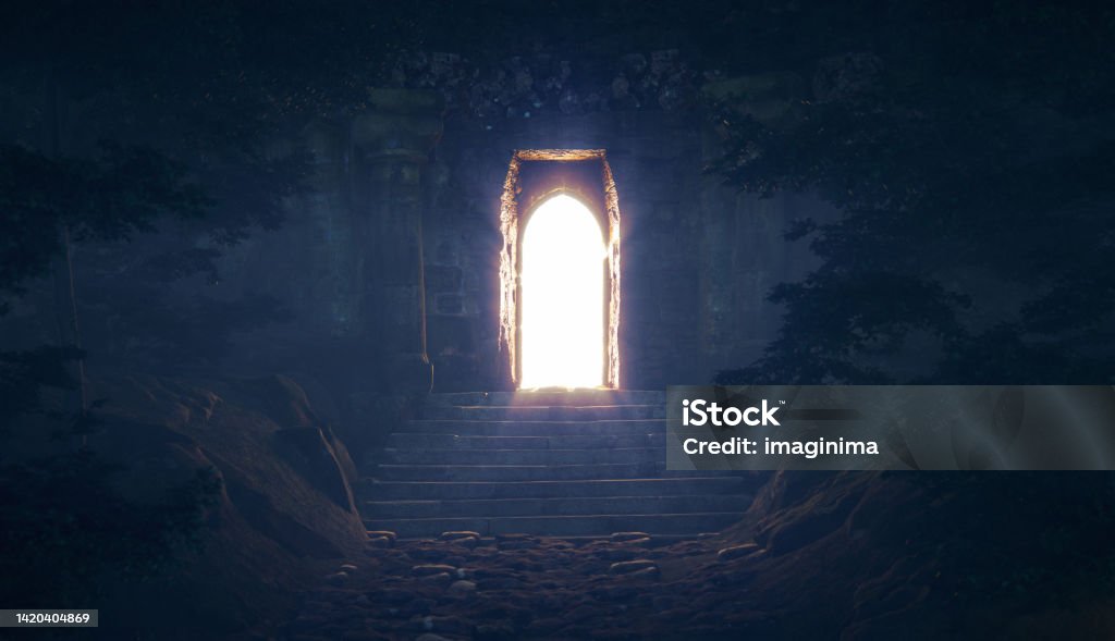 Mysterious Open Door In The Forest Open gate in the magical fairytale forest. Door Stock Photo