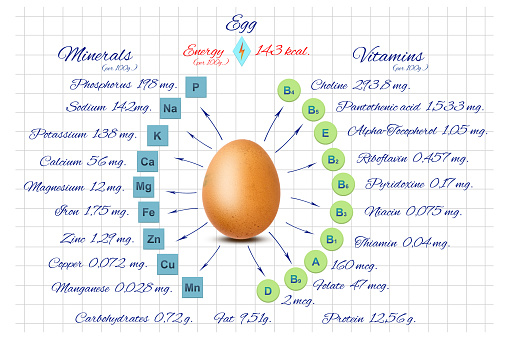 Vitamins and minerals of a chicken egg. Information on a white notebook sheet. Healthy food. Diet. Sport. Proper nutrition. Lifestyle.