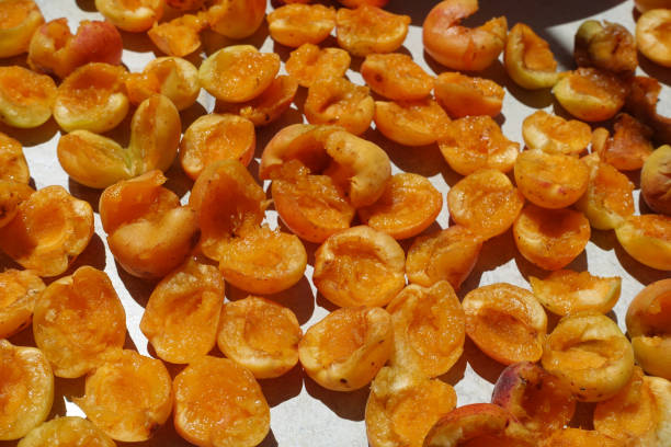 istock close-up apricot drying process, fruit drying process in summer, drying fruit in the sun, 1420408426