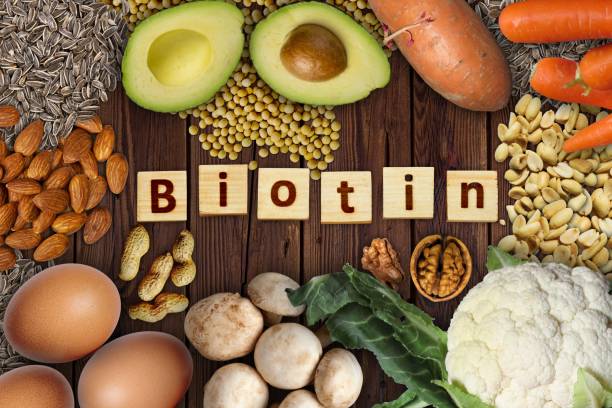 Natural sources of biotin (vitamin B7) . Foods as Avocado, eggs, soybeans, cauliflower, carrot, sweet potato, mushrooms, peanuts, walnuts, sunflower seeds and almonds on wooden table. Natural sources of biotin (vitamin B7) . Foods as Avocado, eggs, soybeans, cauliflower, carrot, sweet potato, mushrooms, peanuts, walnuts, sunflower seeds and almonds on wooden table. vitamin a nutrient stock pictures, royalty-free photos & images