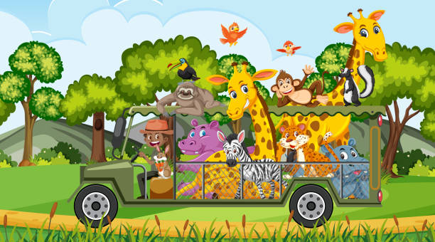 istock Safari scene at daytime with wild animals on the tourist car 1420410164
