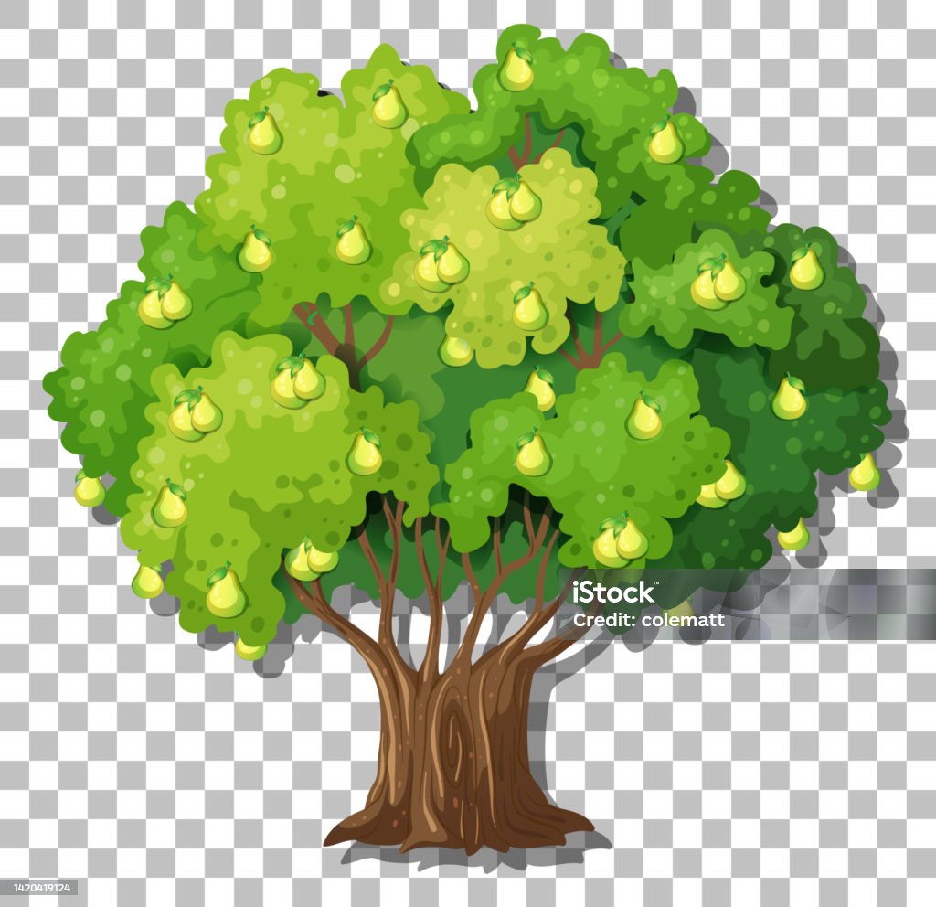 Pear Tree Bitmap Pear Tree On Transparent Background Stock Illustration - Download Image ...