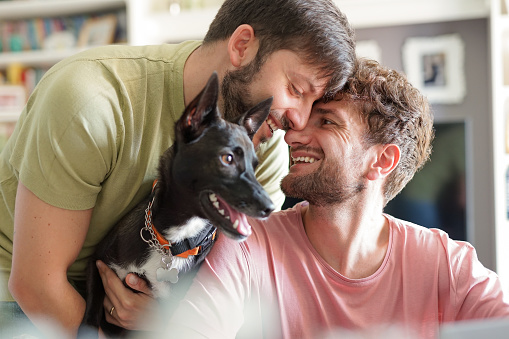 Close up of happy gay couple with dog adopted at animal shelter - Portrait of young man with pet while kissing his husband