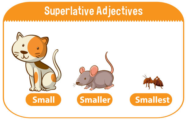 ilustrações, clipart, desenhos animados e ícones de adjetivos superlativos para palavra pequena - superlative