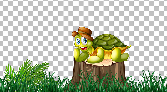 Turtle on the grass field on transparent background illustration