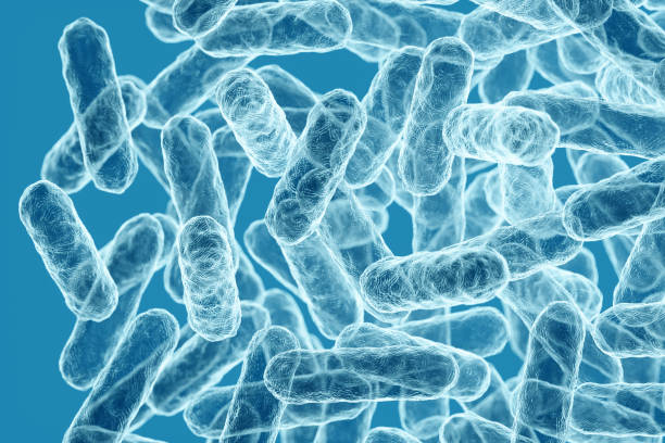 istock Enterobacteriaceae, gram-negative rod-shaped bacteria, part of intestinal microbiome and causative agents of different infections, 3D rendering. Escherichia coli, Klebsiella, Enterobacter and other 1420431988