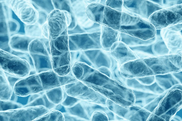 Enterobacteriaceae, gram-negative rod-shaped bacteria, part of intestinal microbiome and causative agents of different infections, 3D rendering. Escherichia coli, Klebsiella, Enterobacter and other