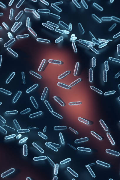istock Enterobacteriaceae, gram-negative rod-shaped bacteria, part of intestinal microbiome and causative agents of different infections, 3D rendering. Escherichia coli, Klebsiella, Enterobacter and other 1420432299