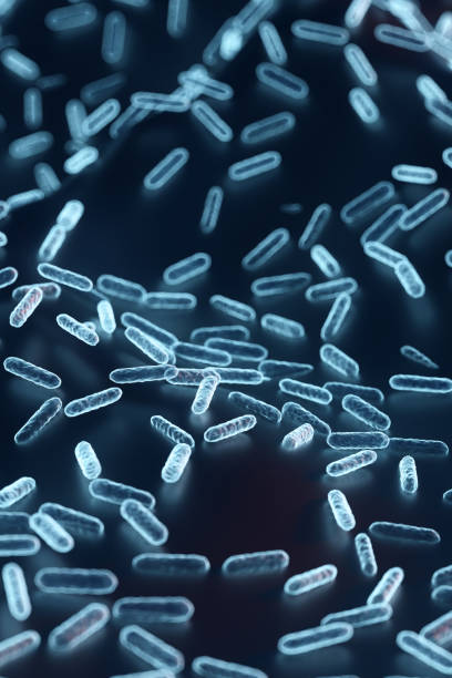 istock Enterobacteriaceae, gram-negative rod-shaped bacteria, part of intestinal microbiome and causative agents of different infections, 3D rendering. Escherichia coli, Klebsiella, Enterobacter and other 1420432574