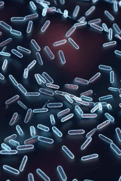 istock Enterobacteriaceae, gram-negative rod-shaped bacteria, part of intestinal microbiome and causative agents of different infections, 3D rendering. Escherichia coli, Klebsiella, Enterobacter and other 1420432636