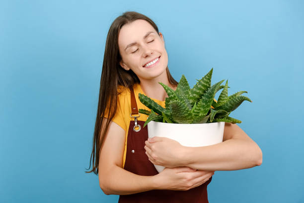 Dreamful young female closes eyes embraces pot of houseplant, new flower for home garden, posing isolated over blue color background wall in studio. Gardening, housewife, people and lifestyle concept la joven hembra soñadora cierra los ojos abraza la maceta de plantas de interior, nueva flor para el jardín de la casa, posando aislada sobre la pared de fondo de color azul en el estudio. jardinería, ama de casa, personas y concepto de estilo de vida