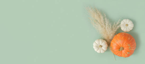 istock Autumn composition. Green desk with pumpkins and dried pampas grass. Flat lay, top view, copy space. Nordic, hygge, cozy home concept. Thanksgiving fall decoration. Halloween Modern Invitation Mock up 1420467664