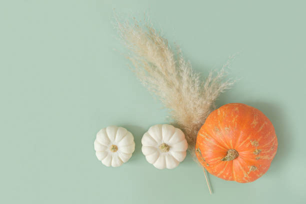 istock Autumn composition. Green desk with pumpkins and dried pampas grass. Flat lay, top view, copy space. Nordic, hygge, cozy home concept. Thanksgiving fall decoration. Halloween Modern Invitation Mock up 1420468356