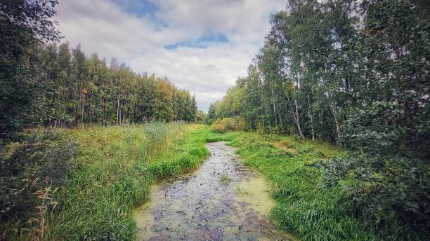 istock End of summer in Finland 1420469962