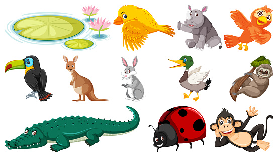 Set of isolated various animals illustration