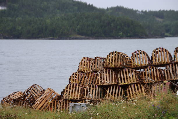 istock lobster cage in Lark Harbour Newfoundland 1420483318