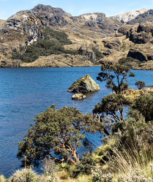 istock El Cajas National park, Toreadora lake. Ecuador 1420484402