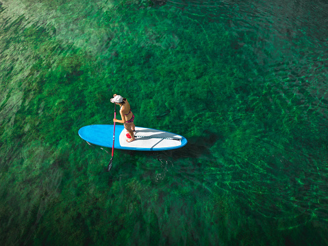 istock Aerial view of woman on a stand up paddle board 1420487411
