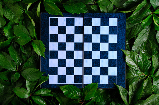 Chessboard against background bright and wet green foliage in raindrops