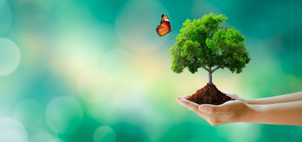istock Save clean planet, Save world and environment, Ecology, World Earth Day Concept. 1420505558