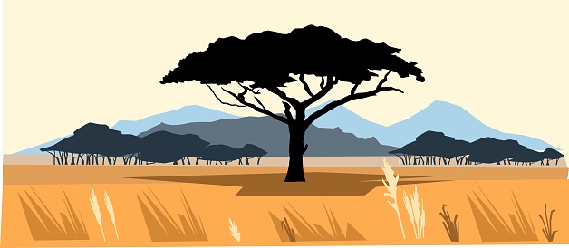 Plains and mountains. African savannah landscape. Silhouette picture. Africa acacia tree. Vector