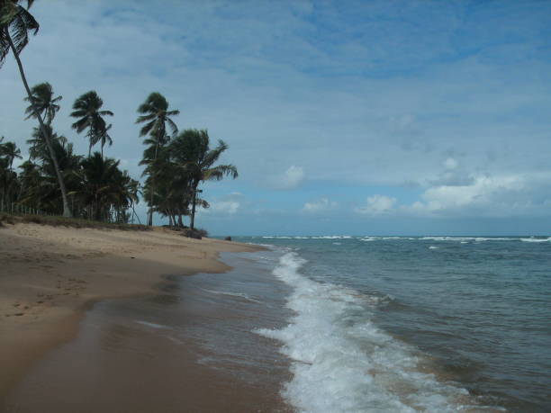 istock beautiful day at the beach 1420515055