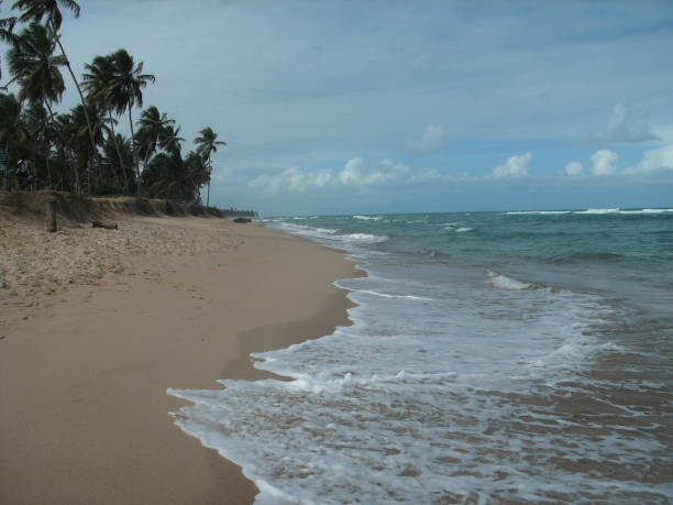 istock beautiful day at the beach 1420515118
