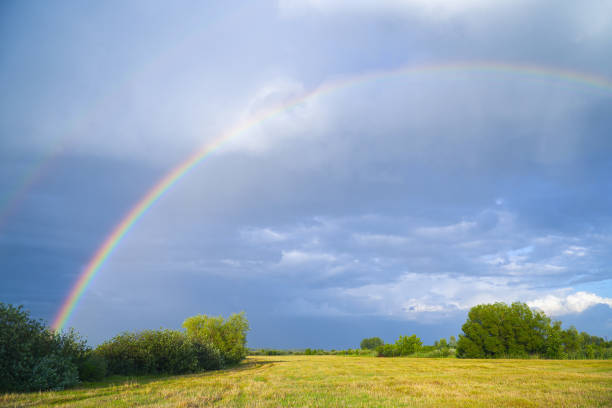 istock Rainbow on the background of storm clouds over mown meadow 1420516464