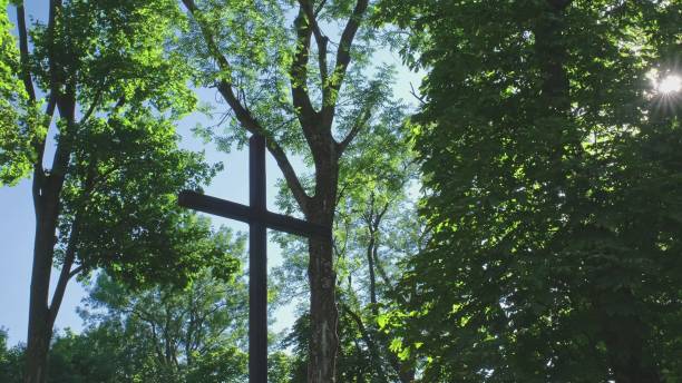 tall wooden christian catholic crucifix standing among trees in church park with sun rays passing through leaves - green cross imagens e fotografias de stock
