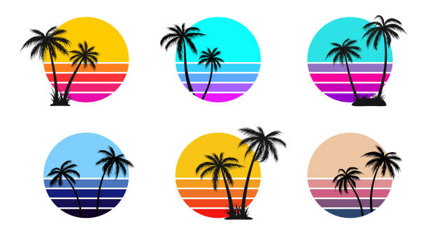 illustrations, cliparts, dessins animés et icônes de coucher de soleil rétro avec des silhouettes de palmiers noirs isolées sur fond blanc. vecteur eps 10 - text surfing surf palm tree