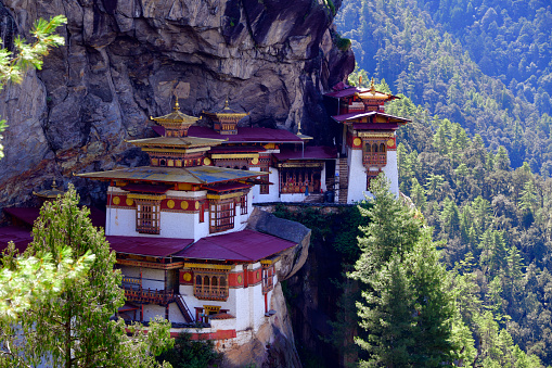 Bhutan: Tiger's Nest - Paro Taktsang / Taktsang Palphug monastery - sacred Vajrayana Himalayan Buddhist site located in the cliffside of the upper Paro valley - the monastery buildings consist of four main temples and residential buildings hanging on the granite ledges, the caves and the rocky terrain - Tibetan Buddhism, Nyingma and Drukpa Kagyu sect.