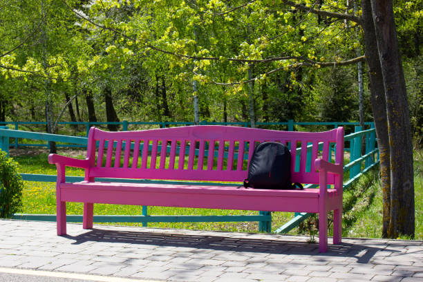 istock A pink bench in the park near the path. Rubzak on the bench under the tree. 1420563245