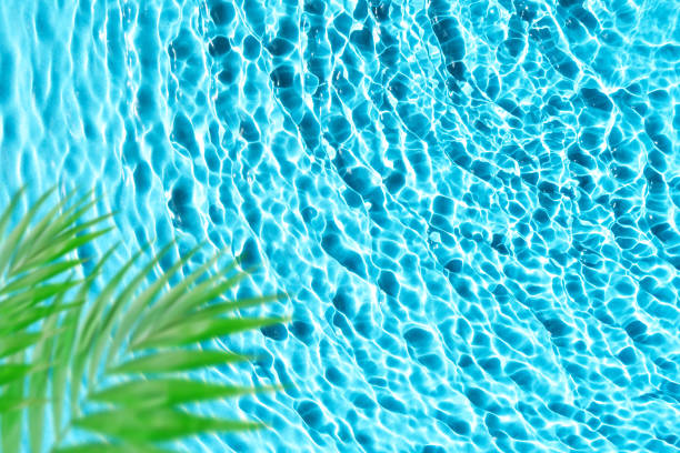 istock Beautiful tropical template with blue water texture background, water surface with sun rays reflection, palm leaves. High resolution. 1420569825