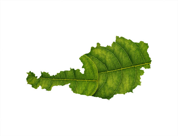 istock Austria map made of green leaves on soil background ecology concept 1420579664