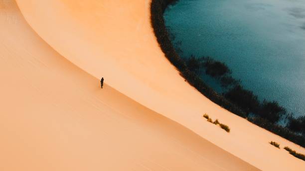 Oasis Drone view of an oasis in the desert. oasis sand sand dune desert stock pictures, royalty-free photos & images