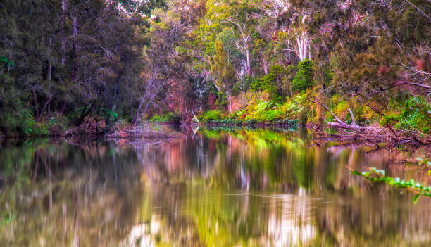 istock Lane Cover River Rich tele no sky 1420589558
