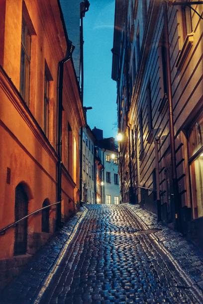 istock Alley in old town during night 1420591795