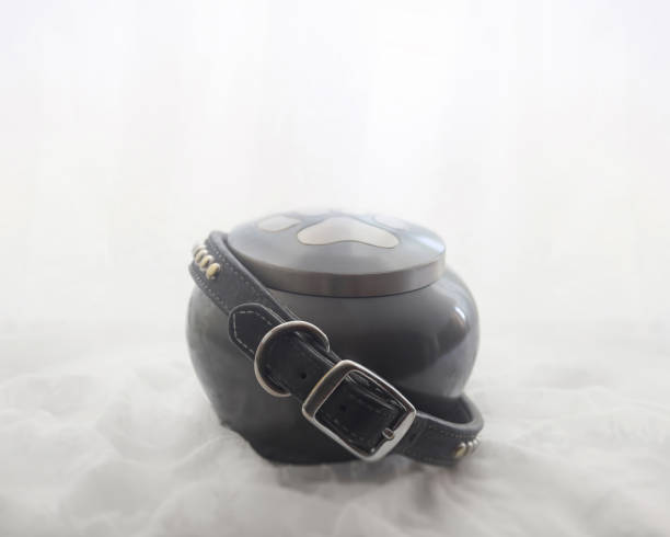 Collar of a pet dog around an urn Collar of a dog around an urn in remembrance of a beloved pet. cricket trophy stock pictures, royalty-free photos & images