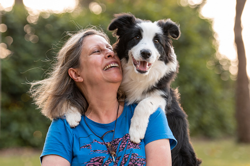 Border Collie dog on woman's shoulders posing by the sunset during golden hour green trees in the background