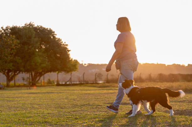 istock Woman training Border Collie 1420602639