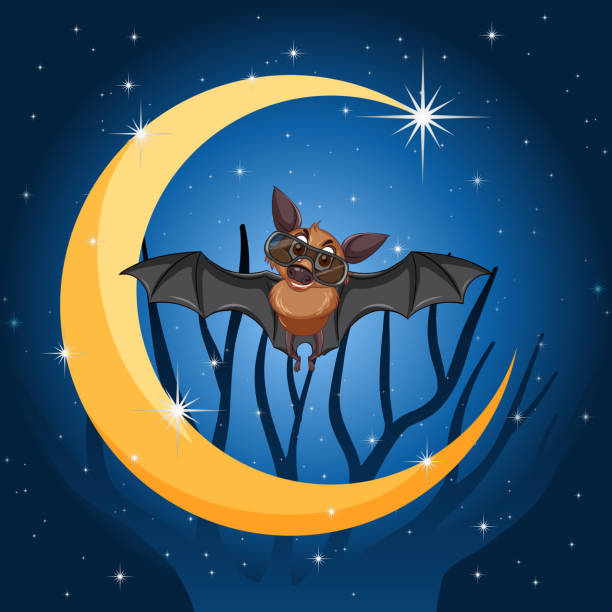ilustraciones, imágenes clip art, dibujos animados e iconos de stock de murciélago de dibujos animados con fondo de luna creciente - bat moon outdoors nature
