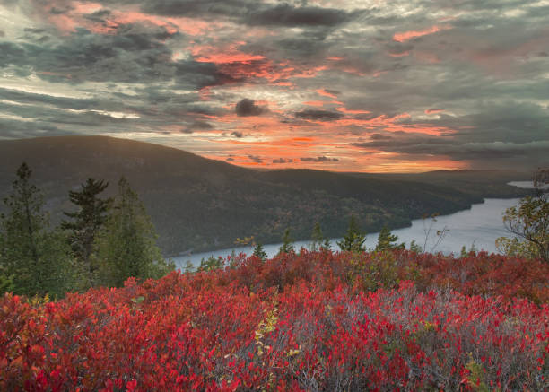 istock Beech Mountain Trail - Acadia National Park 1420618506