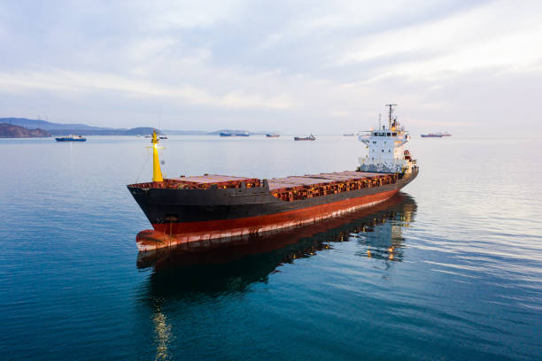 istock Bulk carrier ship at anchor in orange sunset, aerial view. Colored sky 1420620592