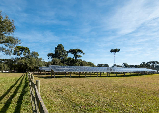 istock Solar panel installed in a farm, green background - concept of sustainable resources, photovoltaic, alternative electricity source 1420621384
