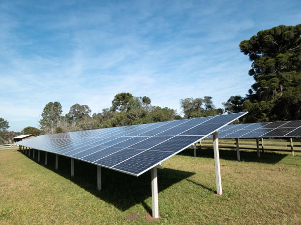 istock Solar panel installed in a farm, green background - concept of sustainable resources, photovoltaic, alternative electricity source 1420621412